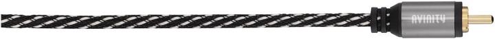 Avinity Cl2 (3 m, Cinch)