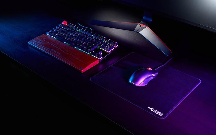 Immagine prodotto Glorious PC Gaming Race G-L (L)