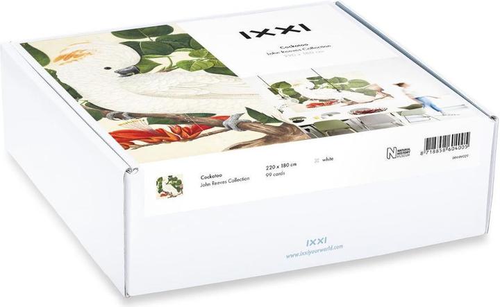 Image du produit Ixxi Cockatoo (80 x 100 cm)
