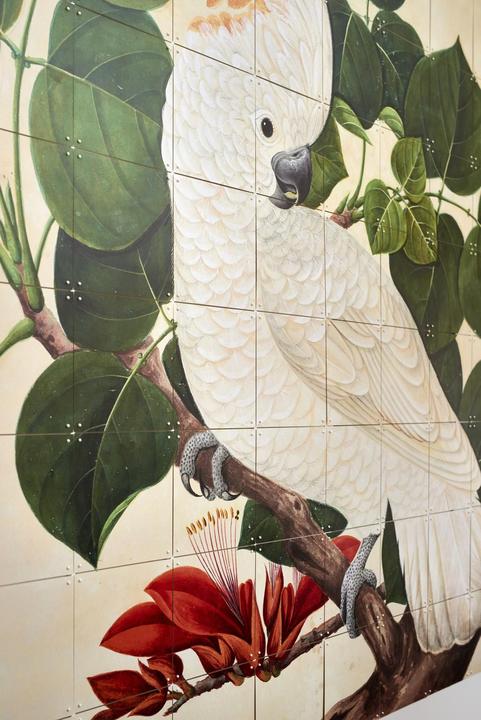 Image du produit Ixxi Cockatoo (80 x 100 cm)