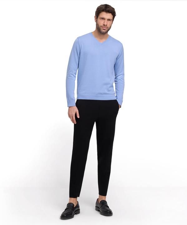 Actual product image Falke FAV Cotton V-Neck m (XL)