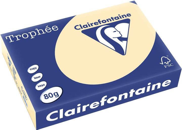 Chamois
