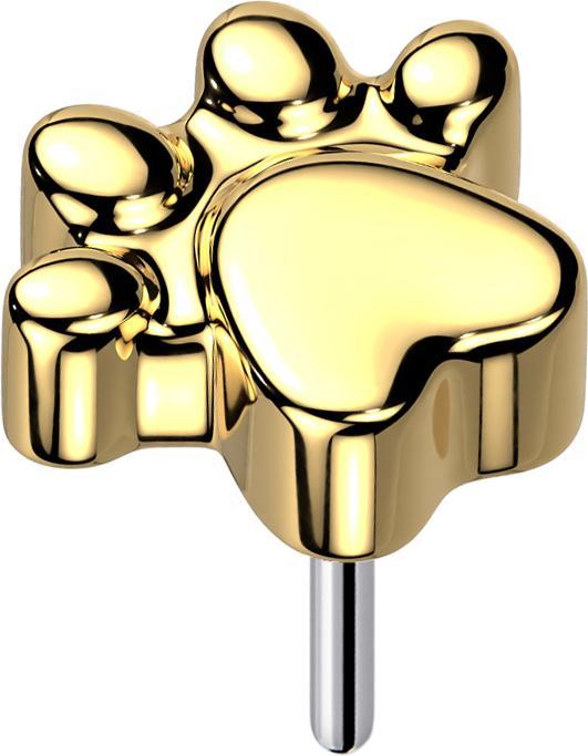 Star Piercing Threadless Pfote vergoldet (ohne Messing, Titan G23)
