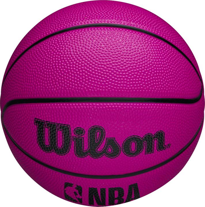 Image du produit Wilson NBA DRV Mini