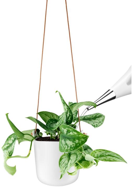 Immagine prodotto Eva Solo Eva (15 cm)
