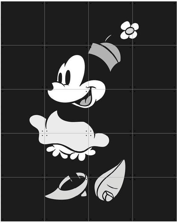 Actual product image Ixxi Minnie Mouse (80 x 100 cm)