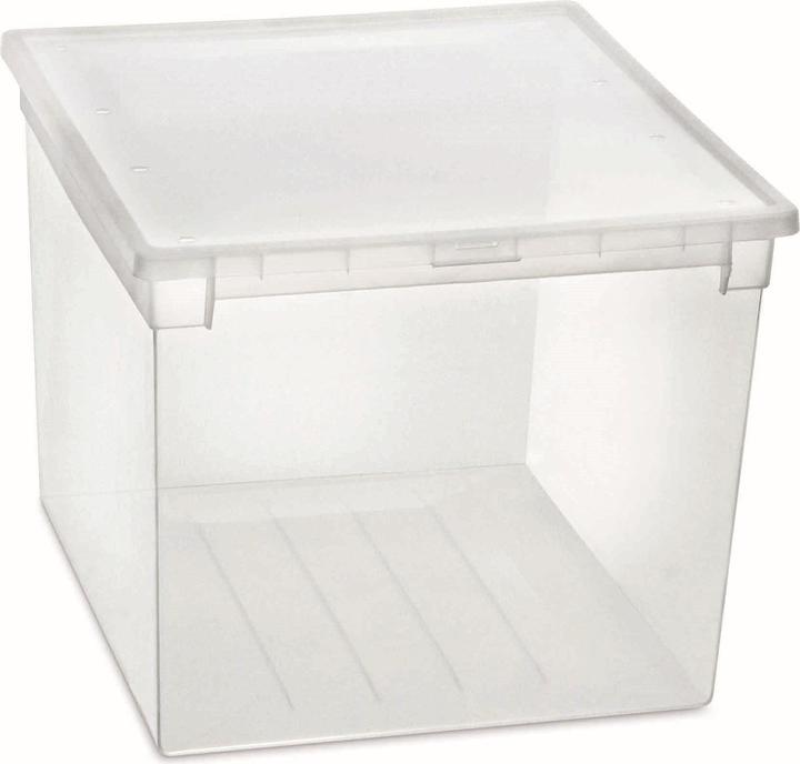 Image du produit Terry Store-Age Boîte à lumière 52XXL (50 l)