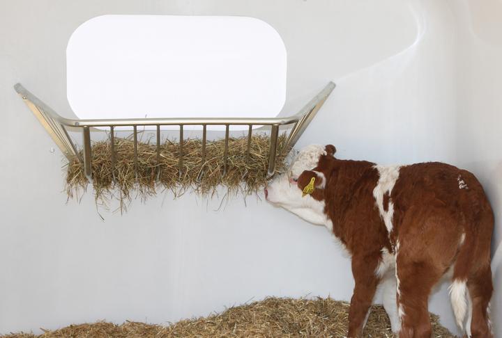 Immagine prodotto Kerbl Rastrelliera per fieno, zincata per CalfHouse Premium 4/5