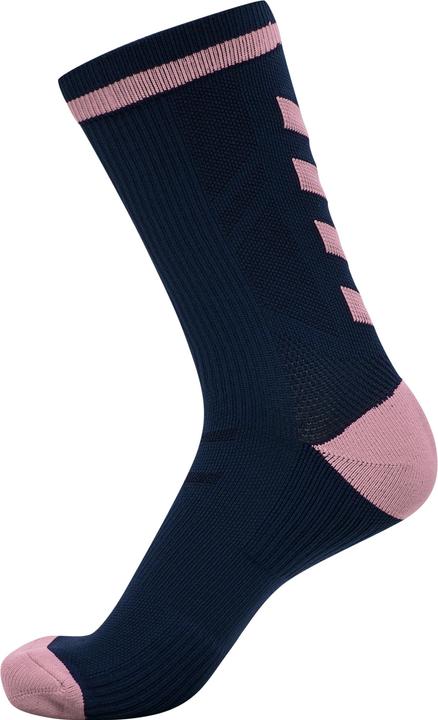 blackirisorchid