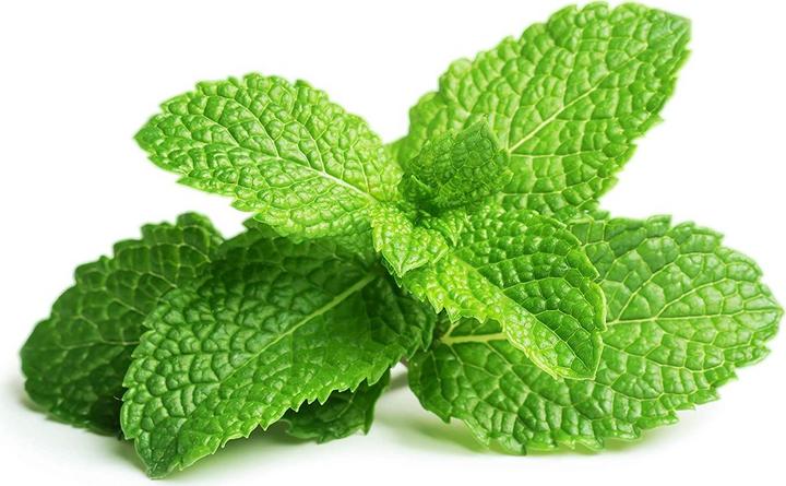 Produktbild Click and Grow Peppermint (Kräutersamen)