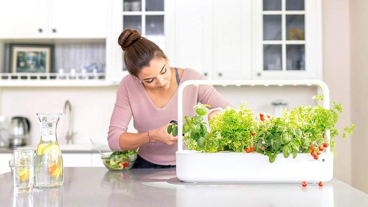 Image du produit Click and Grow Fraise sauvage (Graines de légumes)