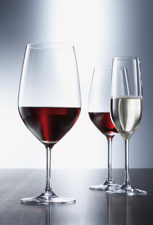 Actual product image Schott Zwiesel Vina (22.70 cl, 6 Glasses, Champagne glasses)