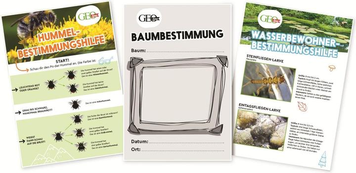 Actual product image Geolino - Discover and explore nature