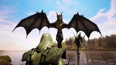 Actual product image Solutions2Go Citadel: Forged with Fire (PS4, IT)