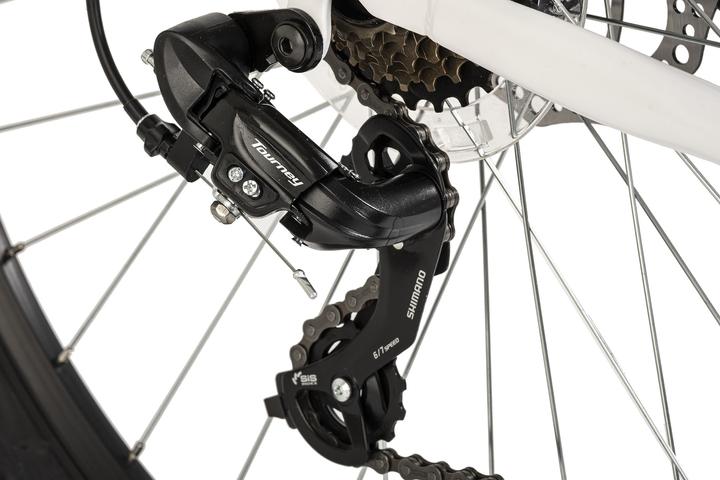 Actual product image Wyld Mountainbike Hardtail ATB Twentyniner 29“ Heist 21 Gänge RH 51 cm (51 cm)
