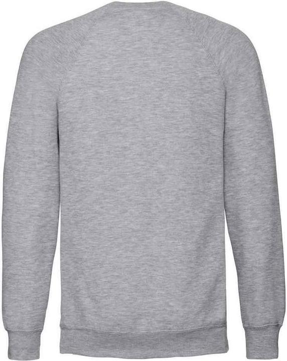 Actual product image Russell Mens Raglan Sweatshirt (M)
