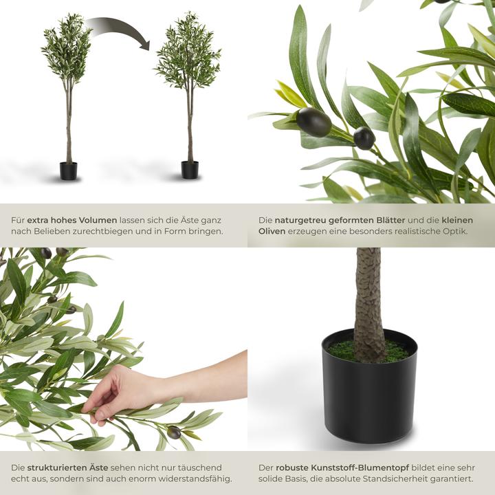 Image du produit tectake Olivenbaum Oleand (150 cm)