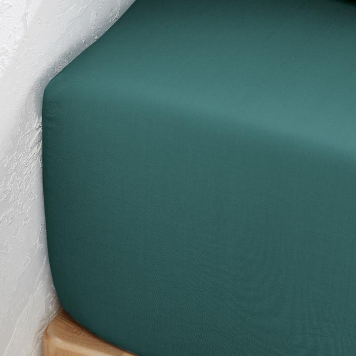 Actual product image La Redoute Interieurs Percale Bio (160 x 200 cm)