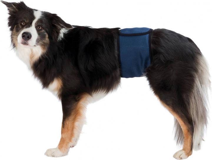 Image du produit Trixie Bandeau pour mâle M 45-55cm (M, Gilet pour chien)