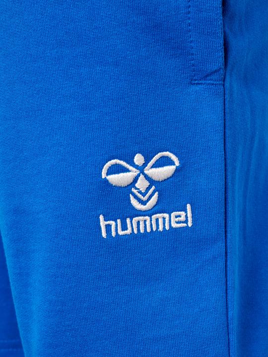 Produktbild hummel Hmlbassim Shorts (122)