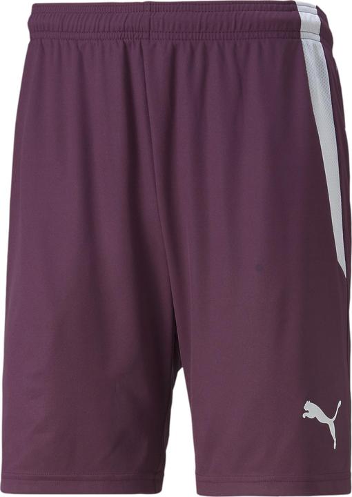 Image du produit Puma teamLIGA Shorts (XXL)