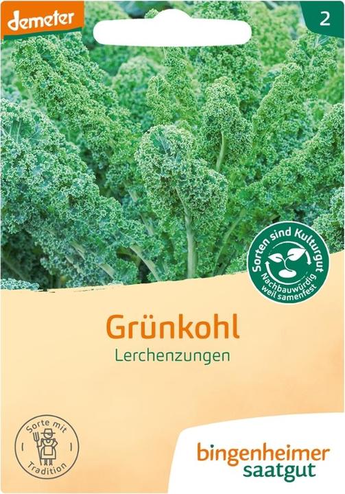 Produktbild Bingenheimer Saatgut Grünkohl Lerchenzungen