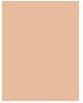 Produktbild Maybelline New York Maybelline - Fit Me Matte Poreless Pressed Powder Face Matting Pudding In Compact 120 Classic Ivory (120 Classic Ivory)