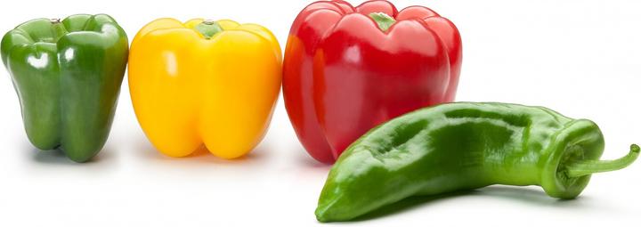 Actual product image Ibili Entkerner von Gemüse 3-4 cm Entfernt einfach und schnell Kerne aus Paprika