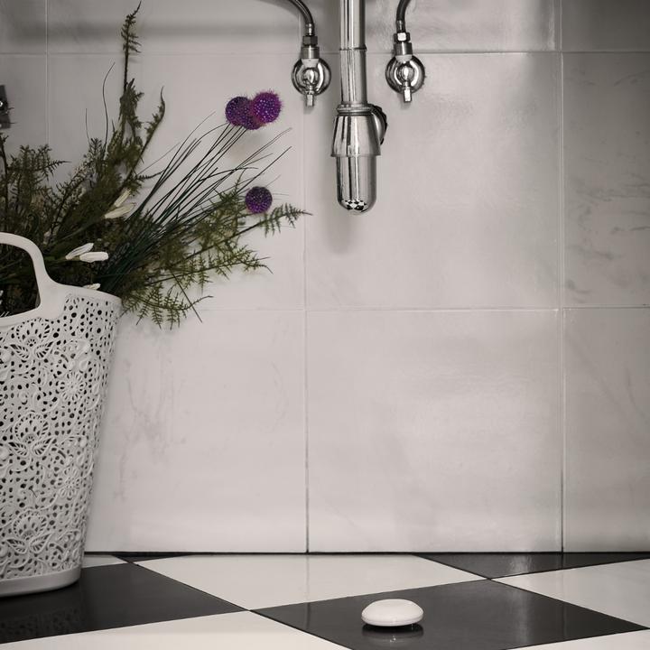 Productafbeelding Shelly Flood WiFi Overstroming & Temperatuursensor
