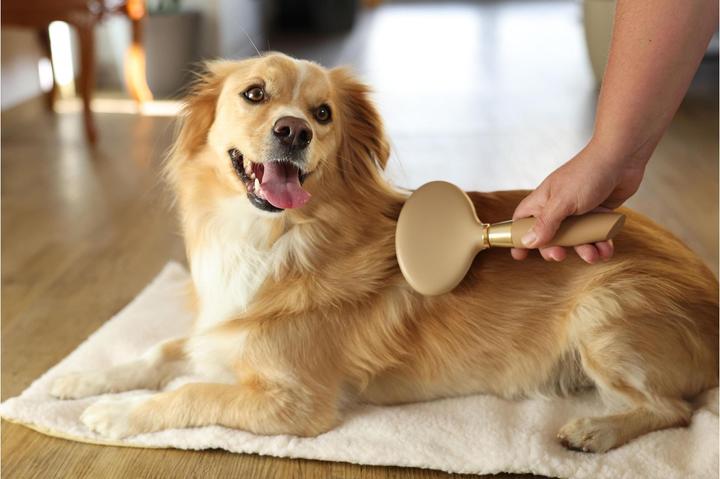 Image du produit Magic Brush Brosse à poils doux pour chien (Chien)