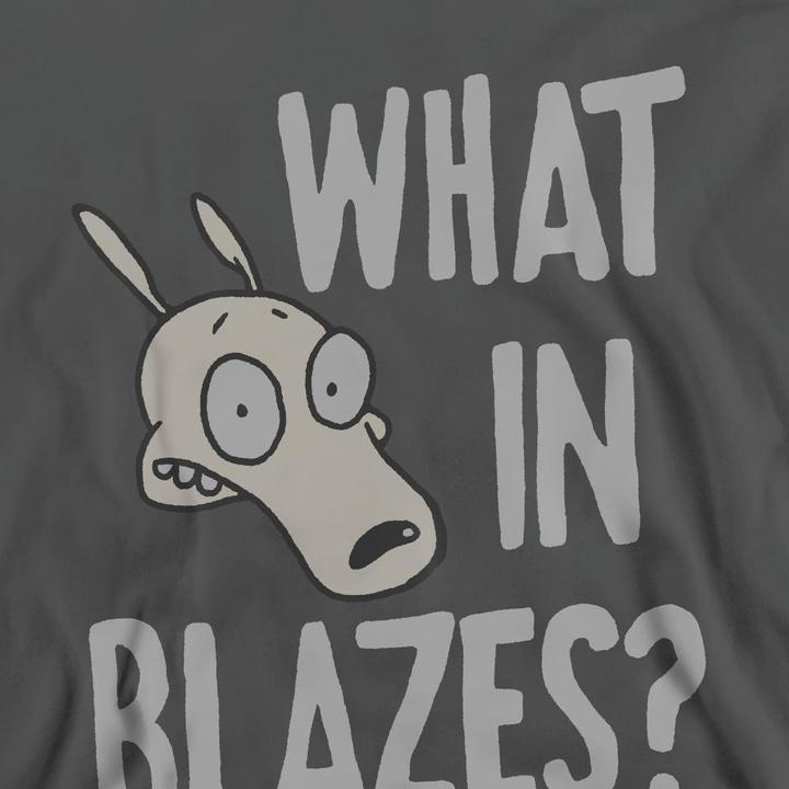 Produktbild Rocko´s Modern Life Rocko's Modern Life What In Blazes? Sweatshirt (XL)