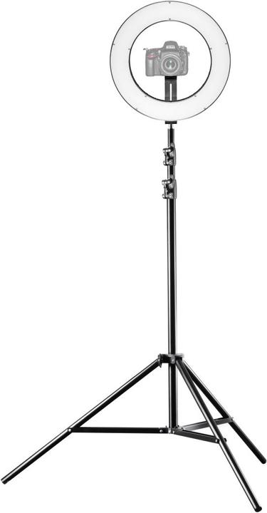 Actual product image Walimex pro Pro 380 Bi Color light (Ring light)