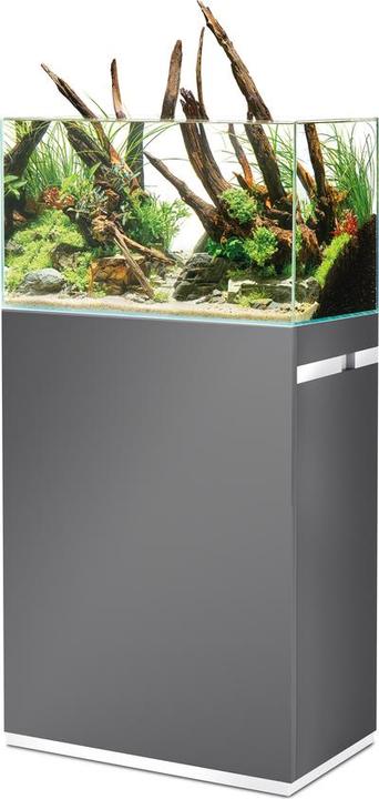 Actual product image Oase Aquarium combination ScaperLine 60, grey, 75 l (75 l)