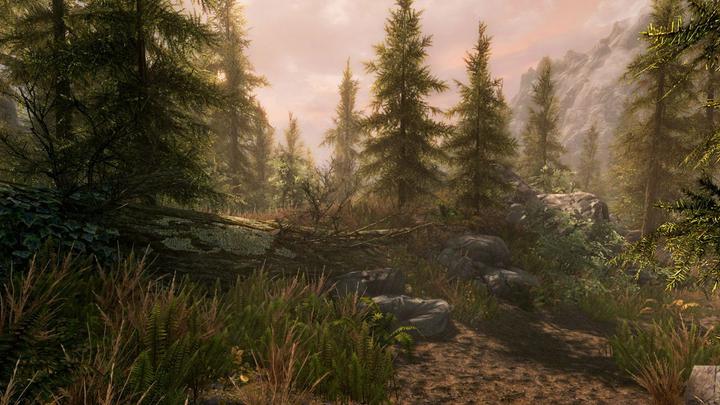 Produktbild Nintendo The Elder Scrolls: Skyrim (Switch, FR)