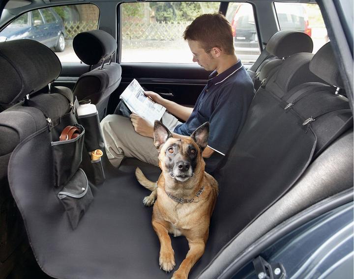 Productafbeelding Karlie Car Star autostoelhoes (Hond, Opvouwbaar, Wasbaar)