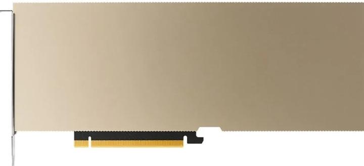 PNY NVIDIA A10 MODULE 24GB (24 GB)