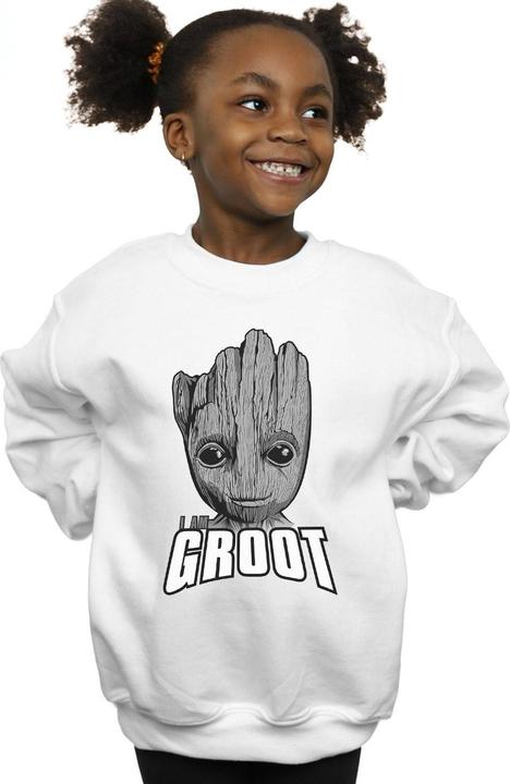 Actual product image Girls Guardians Of The Galaxy Groot Face Sweatshirt (152, 158)