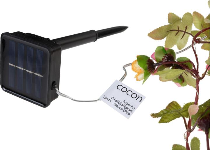 Immagine prodotto Cocon Fiori solari a LED, 10 m (10 m)