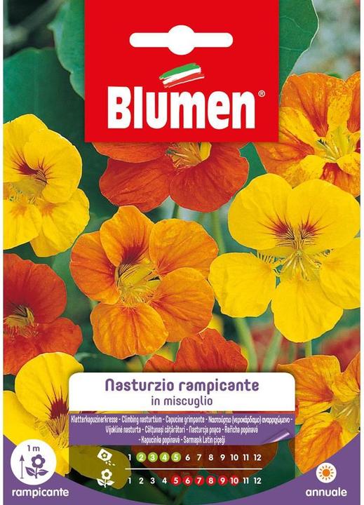 Immagine prodotto Blumen Semi di nasturzio rampicante (Semi di fiori)