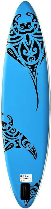 Actual product image VidaXL Stand Up Paddle Board Set (10')