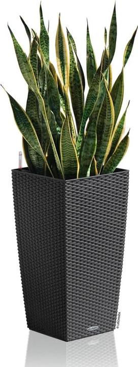 Produktbild Lechuza Cubico Cottage (29.50 cm)