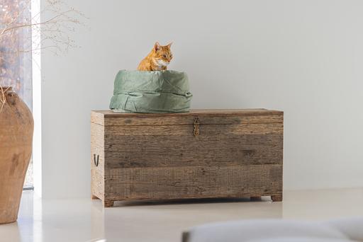 Actual product image Designed by Lotte Fluco (Dog)