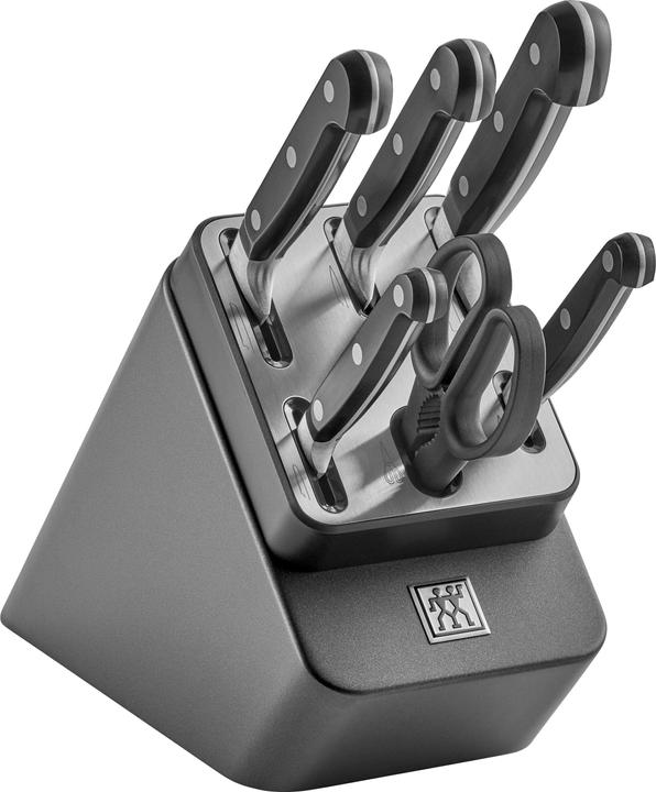 Zwilling Ceppo di coltelli autoaffilanti Professional S da 7 pezzi