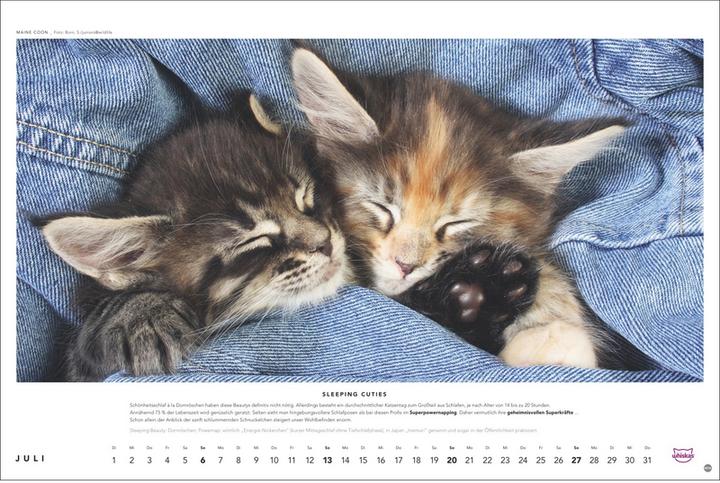 Produktbild Heye Whiskas Katzenkalender 2025 (45 x 30 cm, Harter Einband, Deutsch)