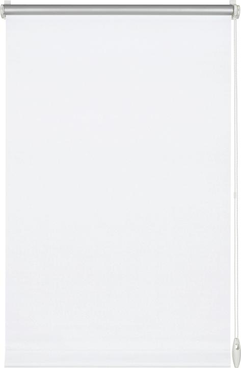 Gardinia Store thermique Easyfix (75 x 150 cm)