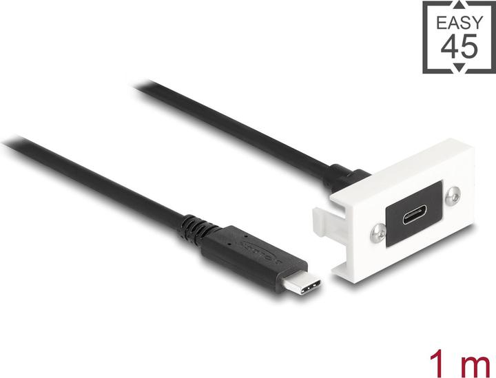 Actual product image Delock Easy 45 Module SuperSpeed USB 10 Gbps (1 m, USB 3.2 Gen 2)