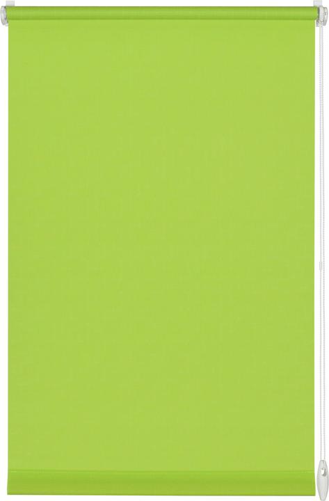 Actual product image Gardinia Easyfix Uni (45 x 150 cm)