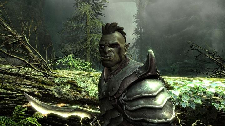 Immagine prodotto Bethesda The Elder Scrolls V: Skyrim (Switch, Multilingue)