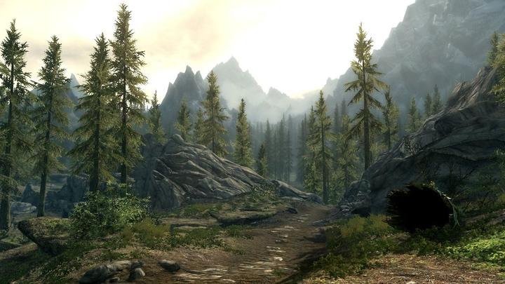Immagine prodotto Bethesda The Elder Scrolls V: Skyrim (Switch, Multilingue)