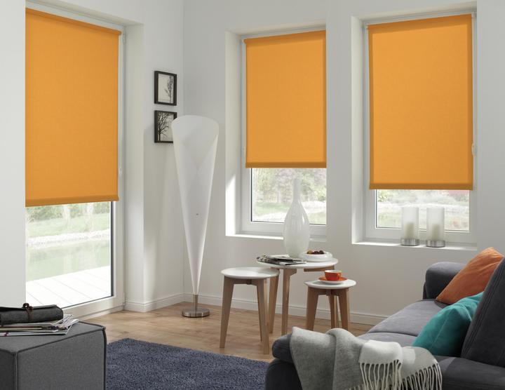 Produktbild Gardinia Easyfix Uni Rollo (45 x 150 cm)